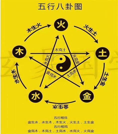 火马命|属马在金木水火土五行里属什么